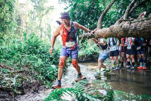 BIB: 
                            <button type="button" onclick="openModal(25466610)" class="btn btn-primary btn-sm float-right btn-popup" data-toggle="modal" data-target=".modal-high-quality">
                        <i class="fas fa-shopping-cart"></i> Add to Cart
                    </button>
                                            <button type="button" onclick="isThisMe(25466610, true)" class="btn btn-success btn-sm float-right btn-popup btn-isme hidden" data-toggle="tooltip" data-placement="bottom" title="นี่คือรูปของคุณใช่ไหม คลิกที่นี่เพื่อเอาเข้าอัลบั้ม">
                        <i class="fas fa-plus"></i> Add to album
                    </button>
                    <button type="button" onclick="isThisMe(25466610, false)" class="btn btn-warning btn-sm float-right btn-popup btn-isnotme hidden">
                        <i class="fas fa-ban"></i> Remove from album
                    </button>